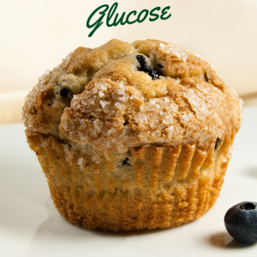 Blueberry Muffin